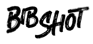 BibShot